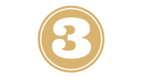 3 Icon